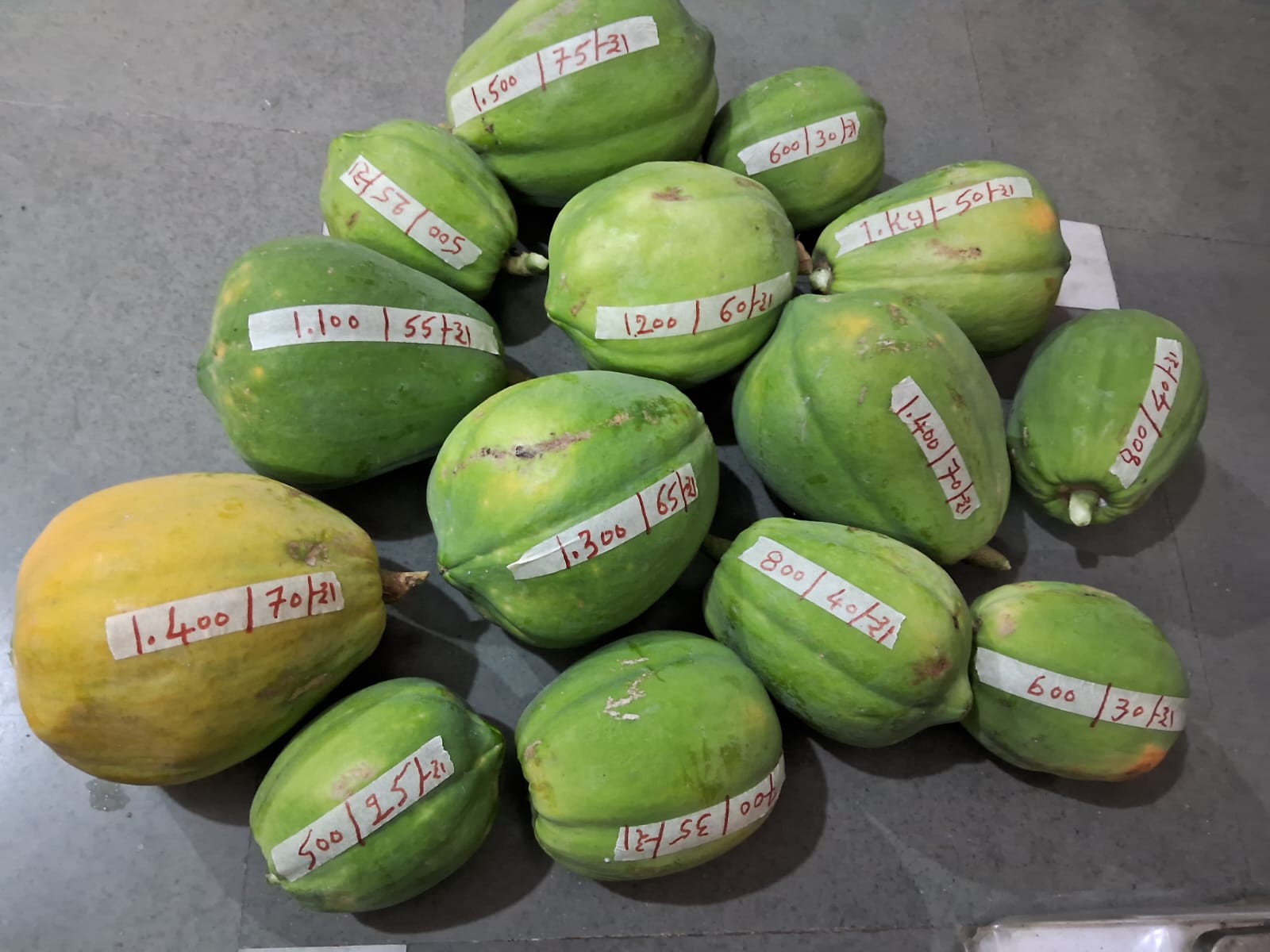 મહંત વાટિકા પ્રાકૃતિક ફાર્મ