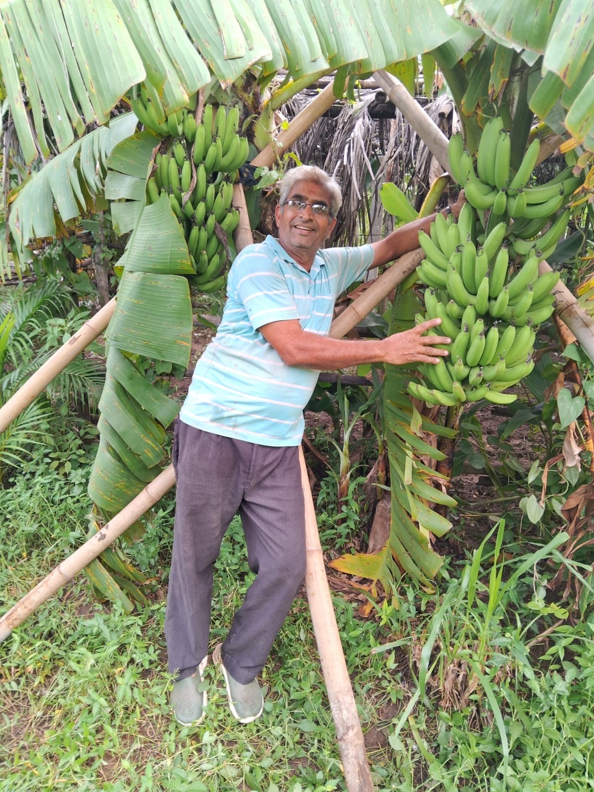 મહંત વાટિકા પ્રાકૃતિક ફાર્મ