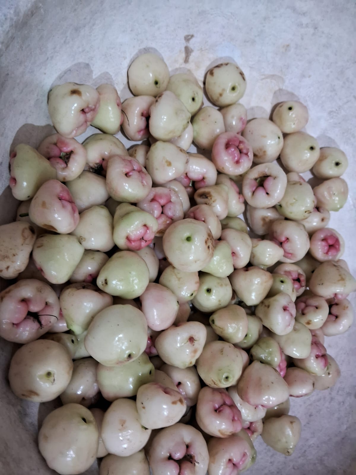 મહંત વાટિકા પ્રાકૃતિક ફાર્મ