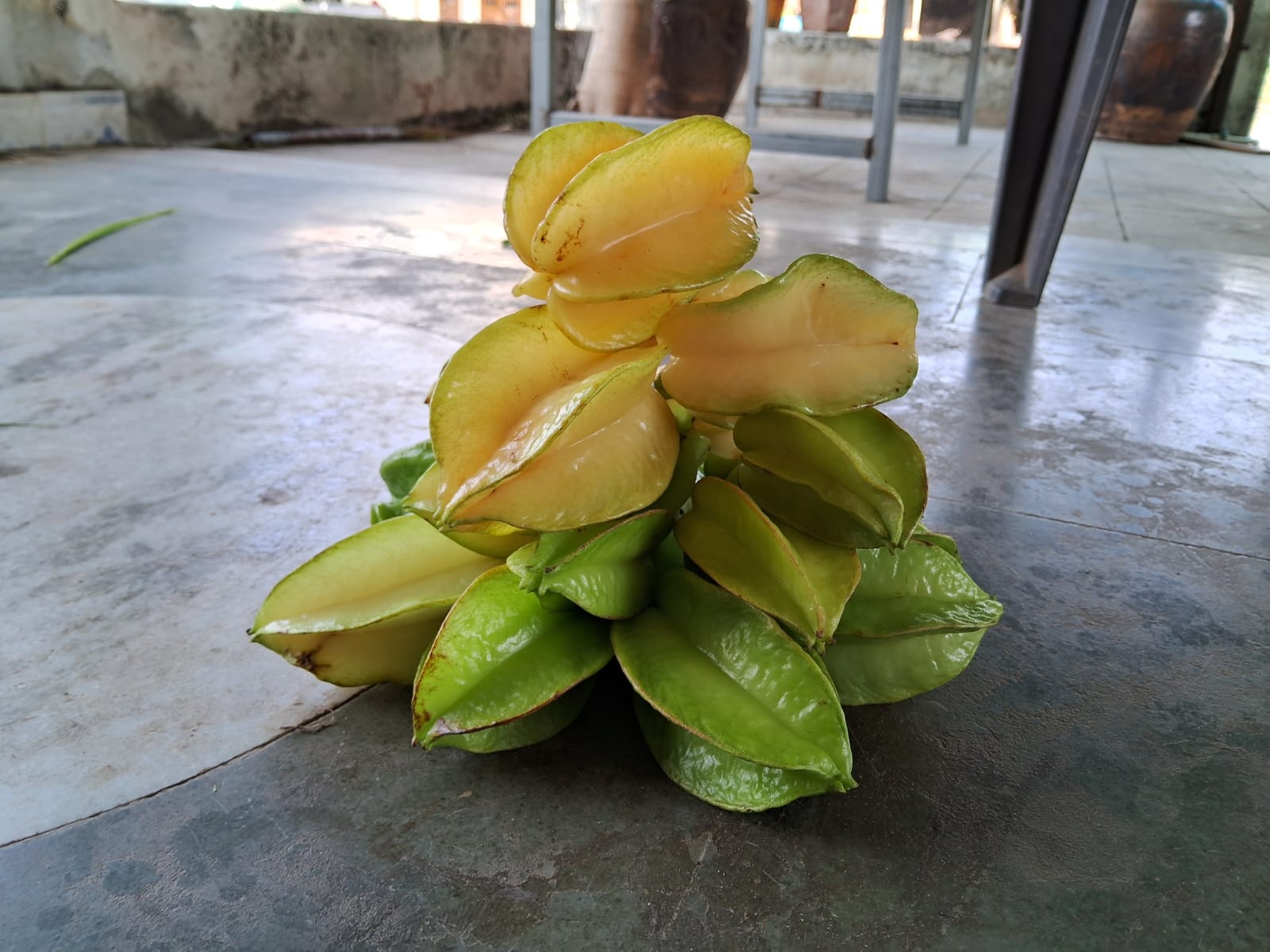 મહંત વાટિકા પ્રાકૃતિક ફાર્મ
