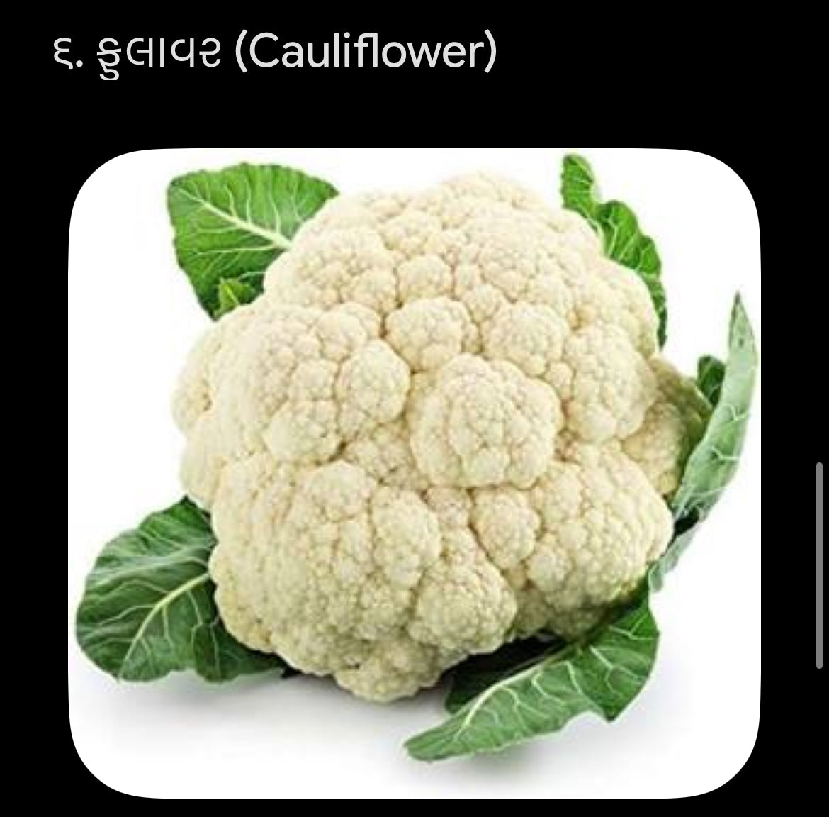 ફુલાવર -1 kg