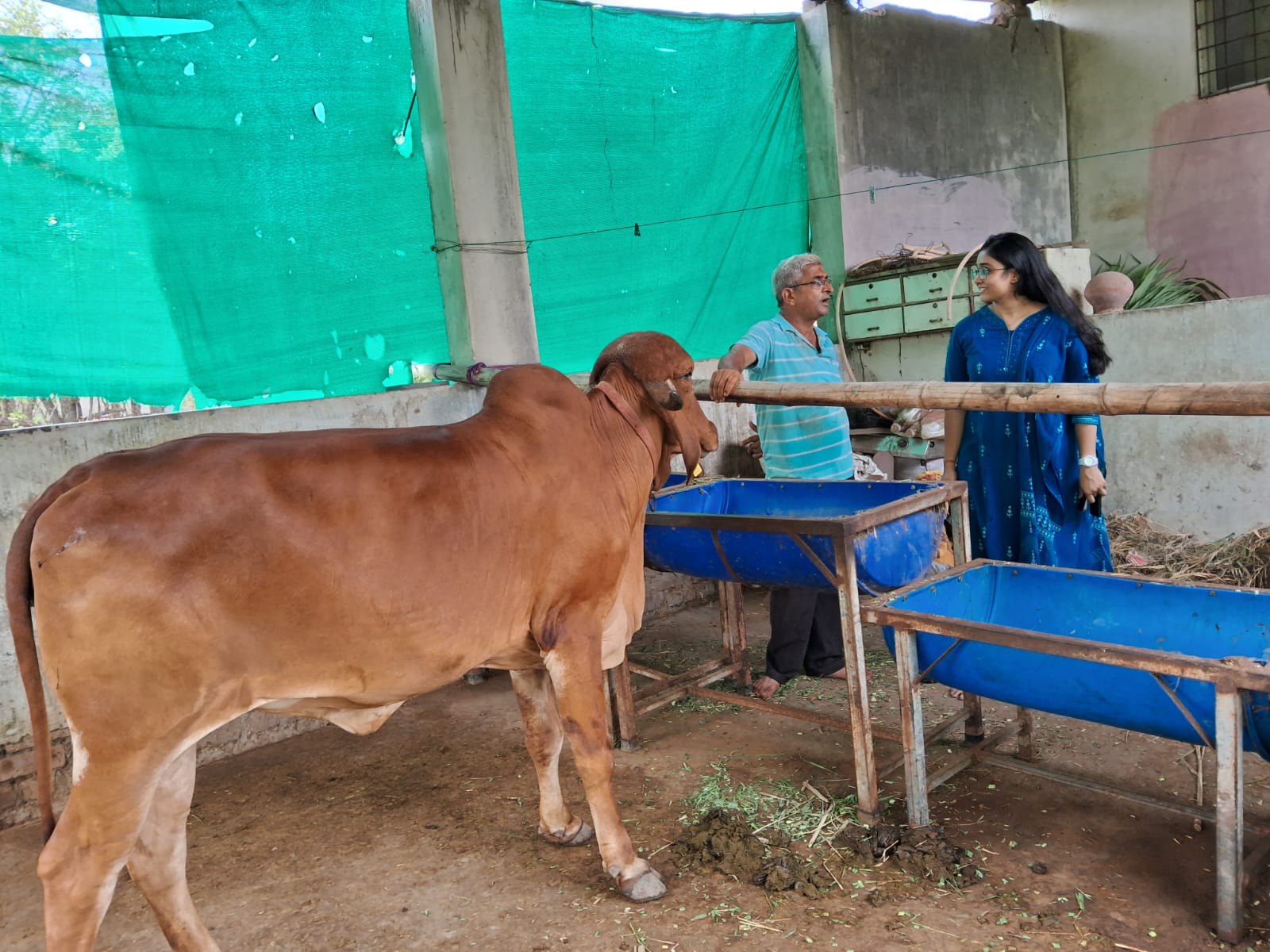મહંત વાટિકા પ્રાકૃતિક ફાર્મ