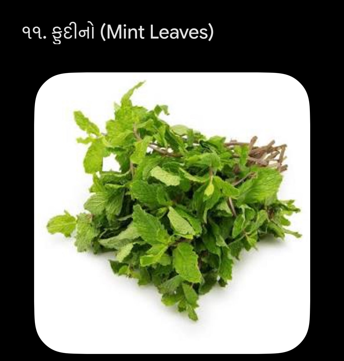 ફૂદીનો -1 kg