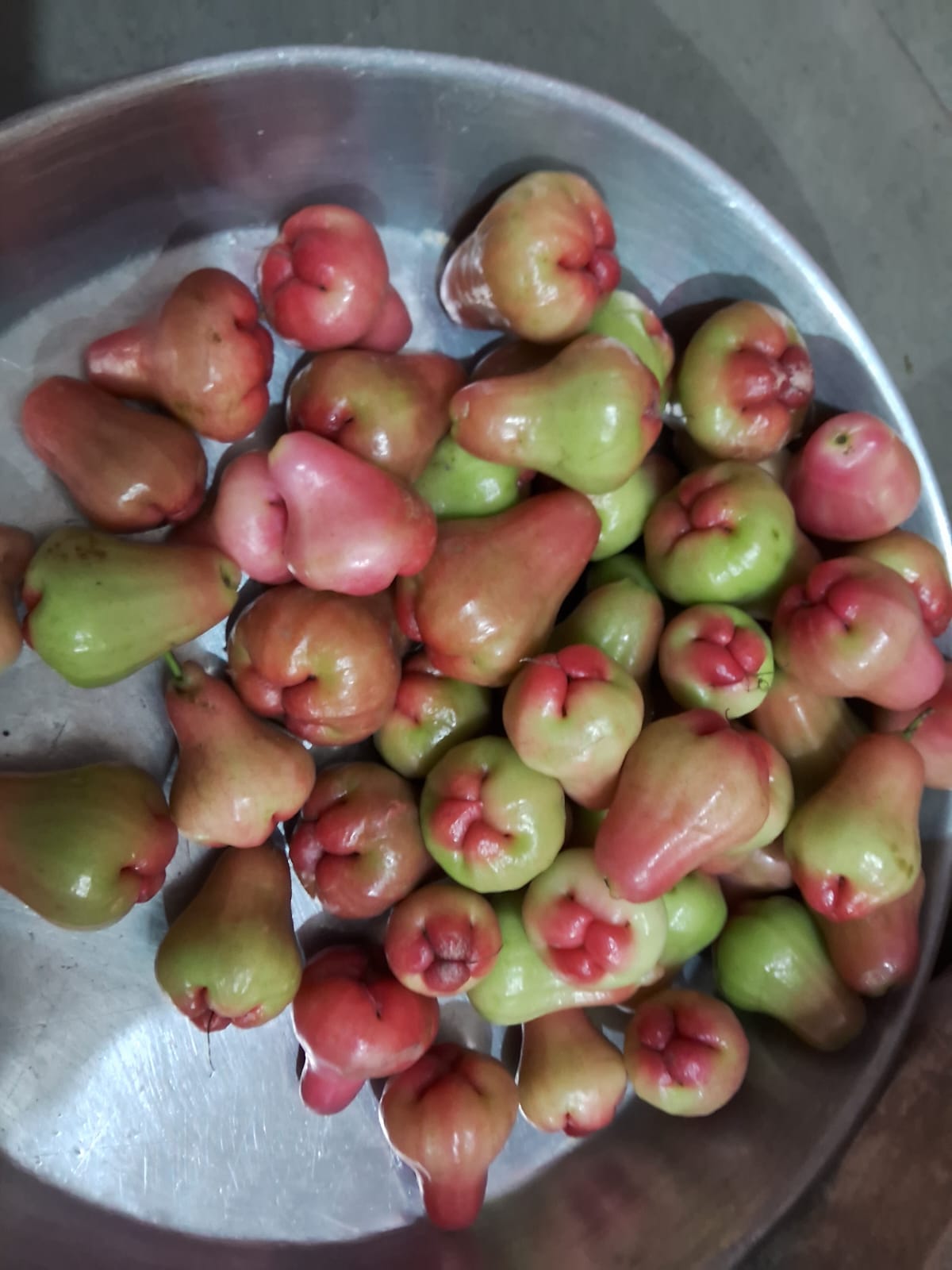 મહંત વાટિકા પ્રાકૃતિક ફાર્મ