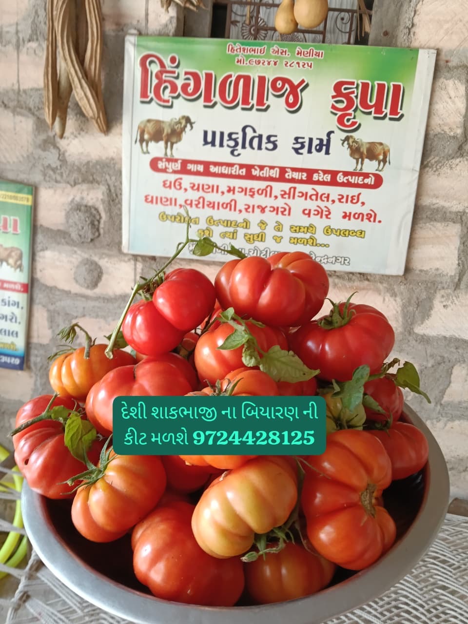 દેશી શાકભાજી બિયારણ 25 પ્રકારના