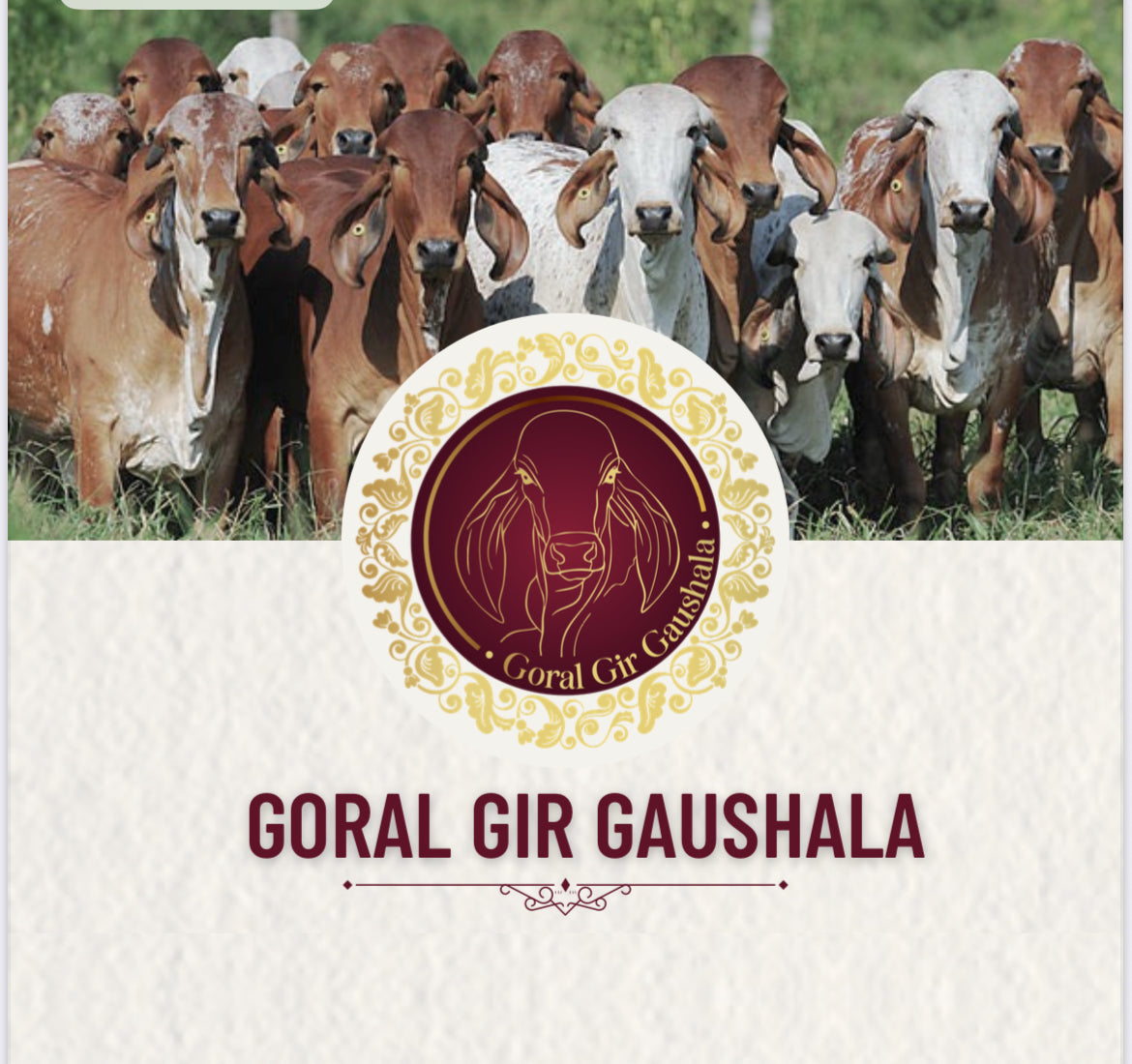 ચ્યવનપ્રશ 500 gm ગોરલ ગીર ગૌશાળા