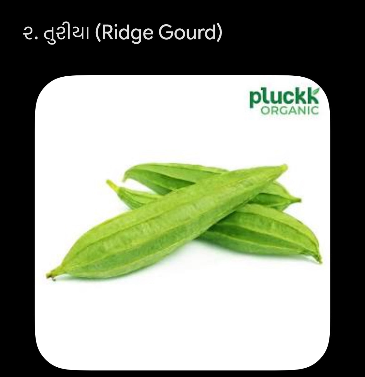 તુરિયા -1 kg