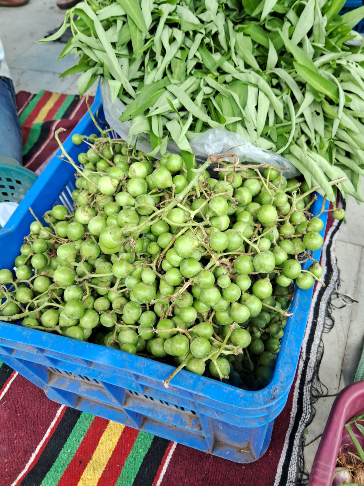 મહંત વાટિકા પ્રાકૃતિક ફાર્મ
