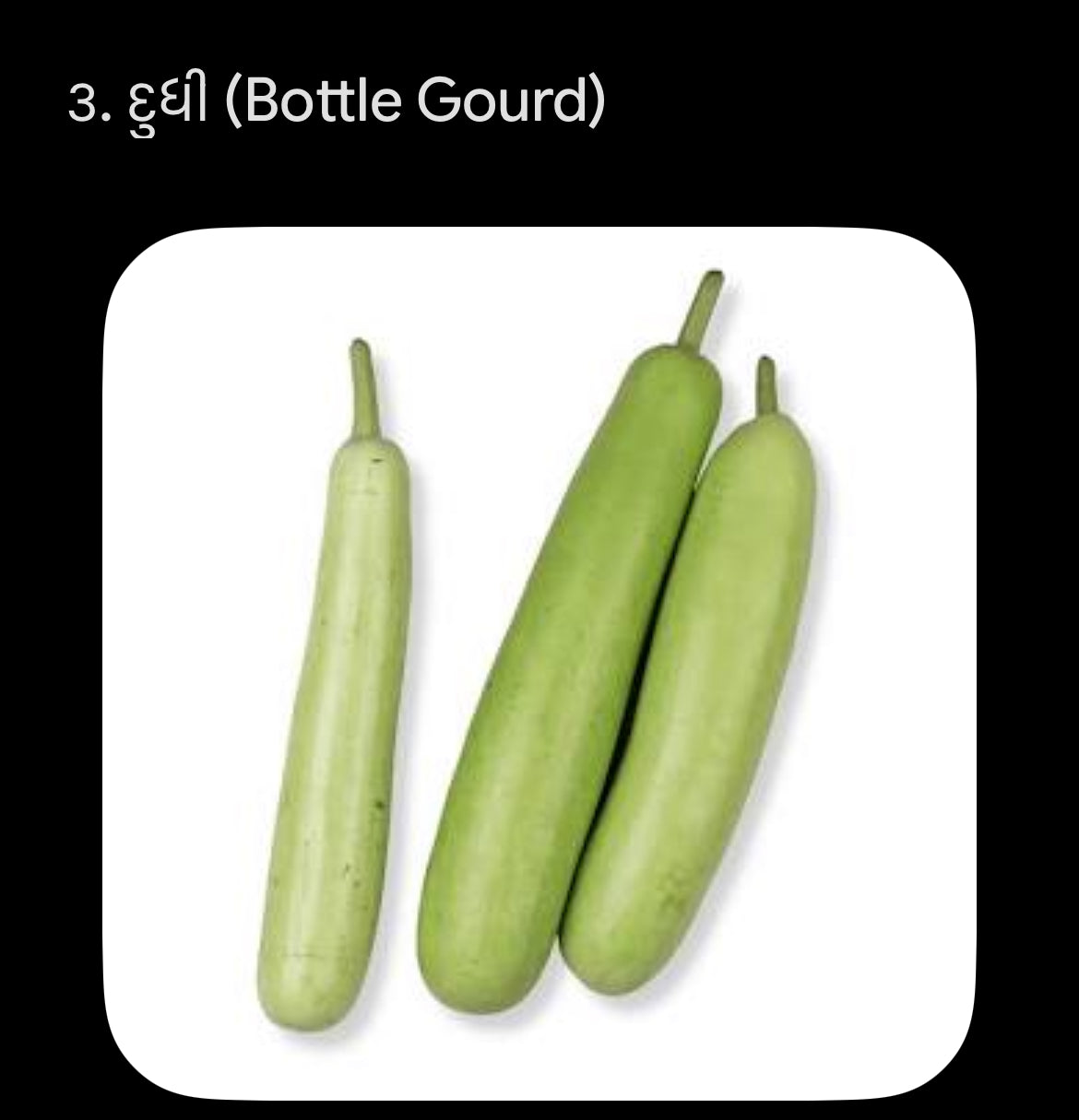 દૂધી 1 kg