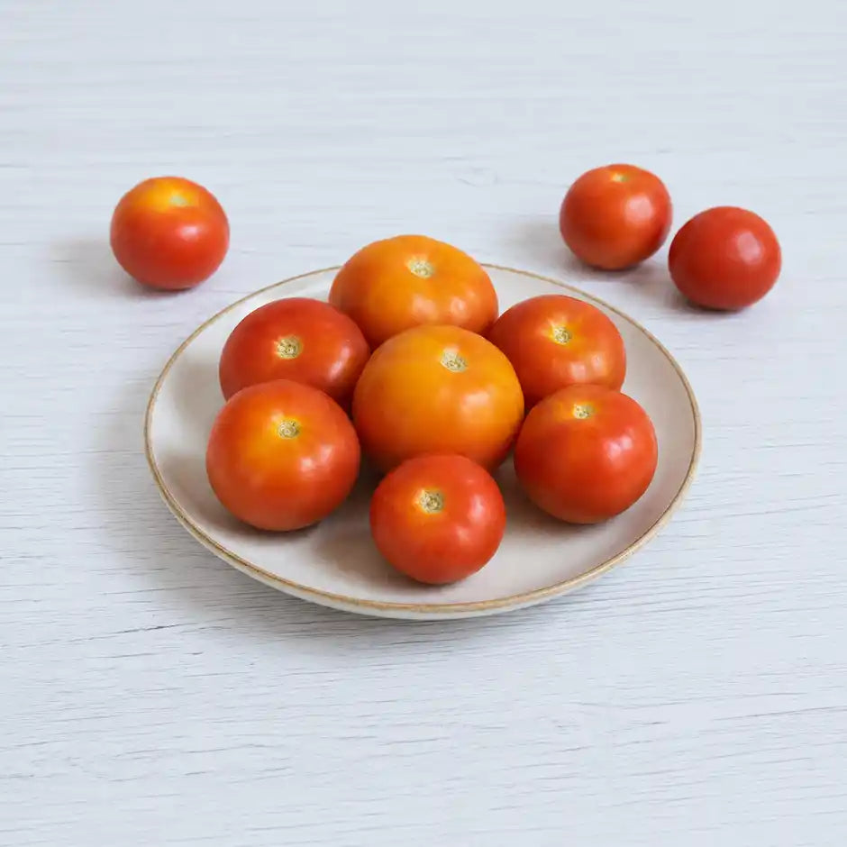 Tomato