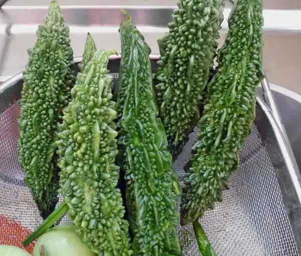 KARELA