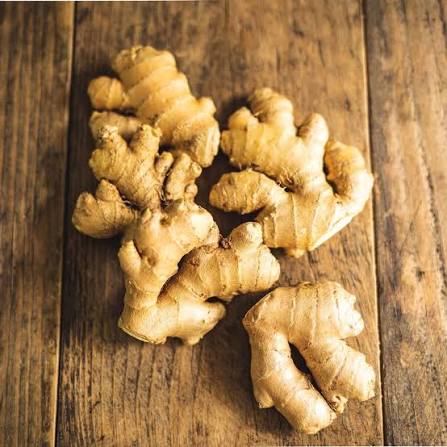 GINGER