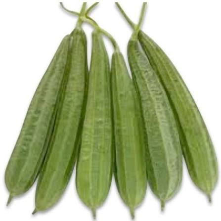 GALKA