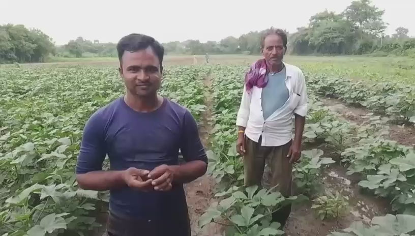 જીવામૃત-છાશ 1 L- વિશ્વંતી નેચર્સ ગાય આધારિત પ્રાકૃતિક ફાર્મ. ગુંદા . રાજકોટ