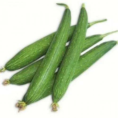 GALKA